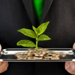 Investment Strategies in the US
