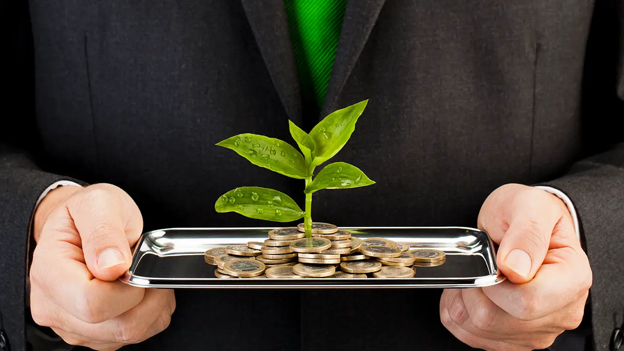 Investment Strategies in the US